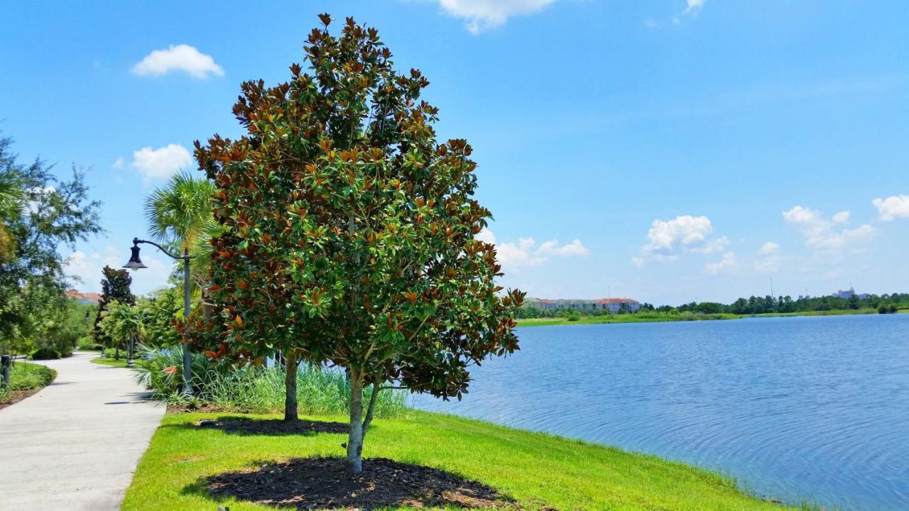 Luxury Vacation In This Gorgeous Vista Cay Condo Kissimmee Bagian luar foto